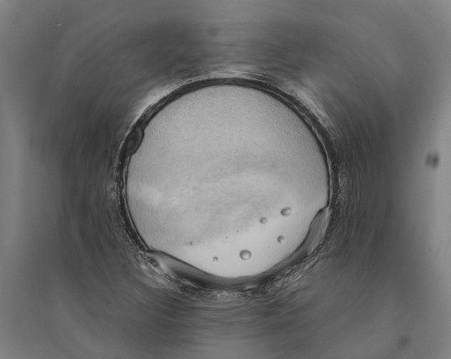 X0000094371308200711301439