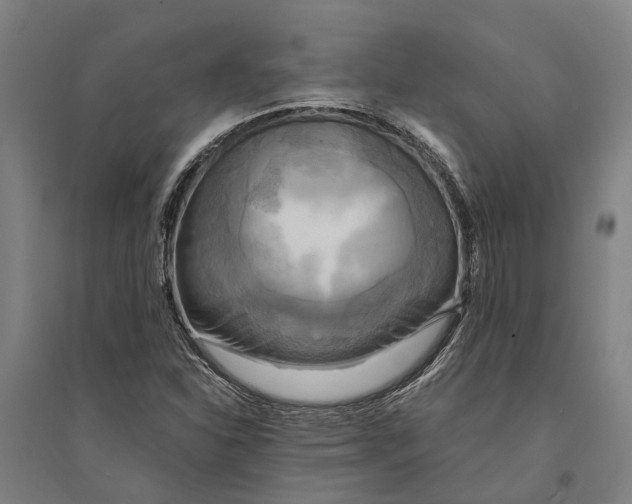 X0000094371310200711301439