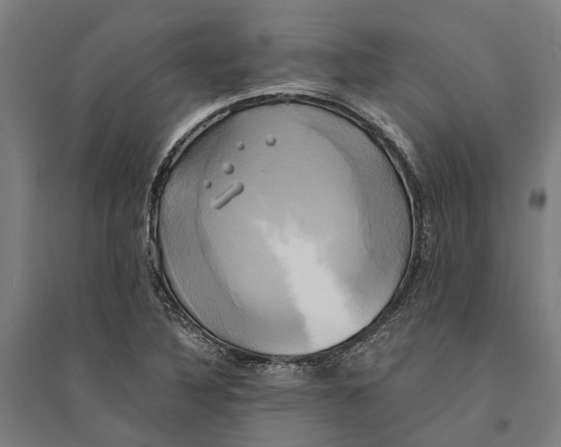 X0000094371316200711301439