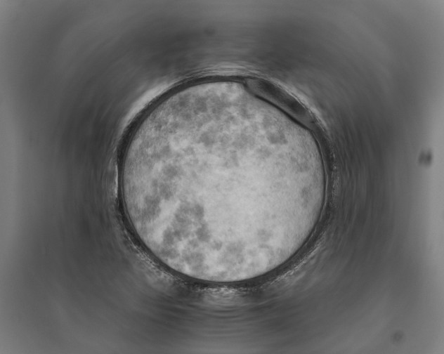 X0000094371317200711301439