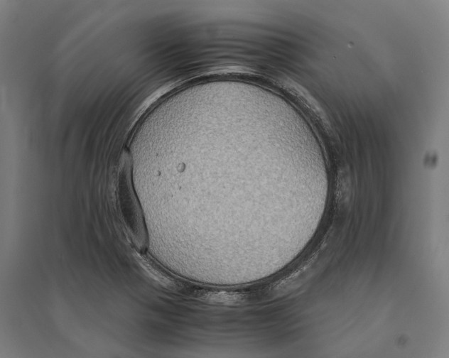 X0000094371321200711301439