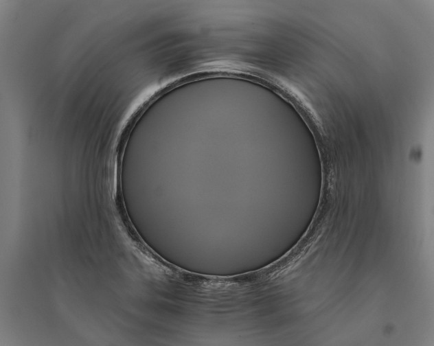 X0000094371323200711301439