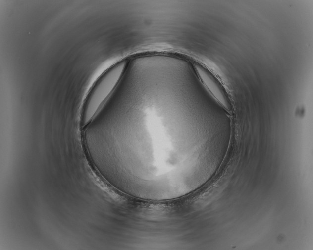 X0000094371326200711301439