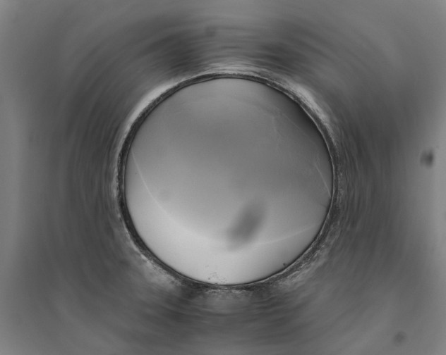 X0000094371331200711301439