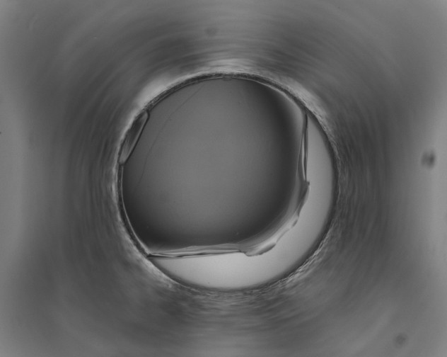 X0000094371334200711301440