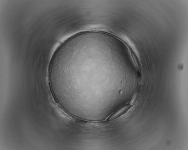 X0000094371336200711301440