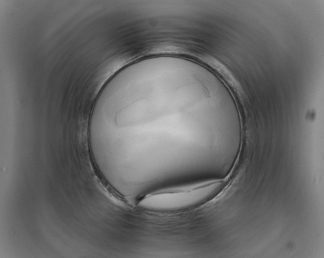 X0000094371337200711301440