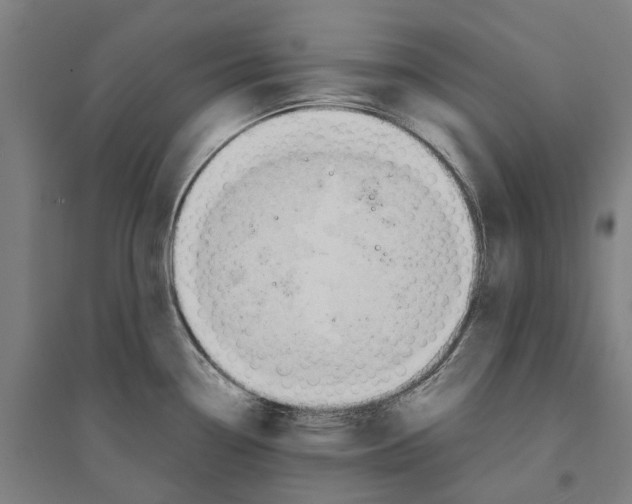 X0000094371338200711301440