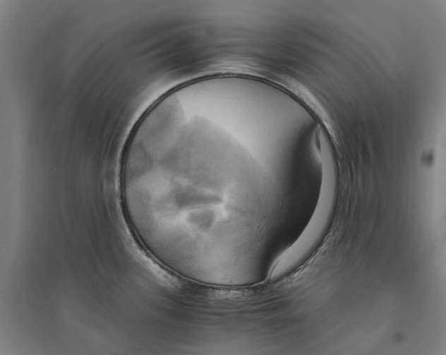 X0000094371339200711301440