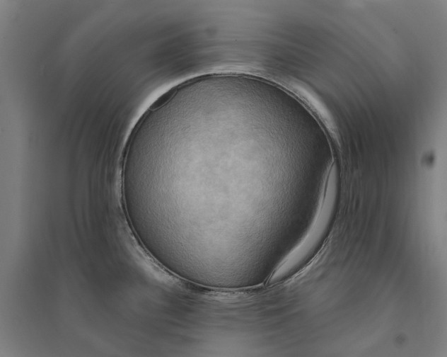 X0000094371340200711301440