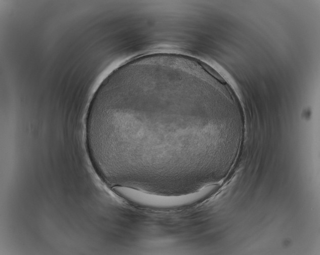 X0000094371341200711301440