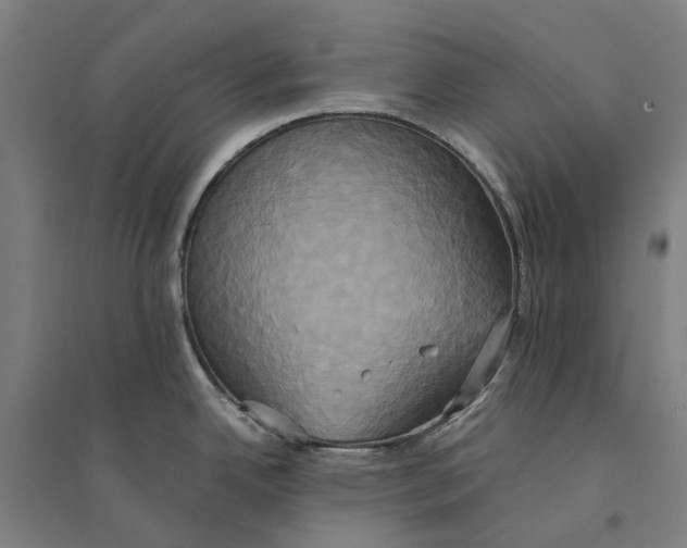 X0000094371342200711301440