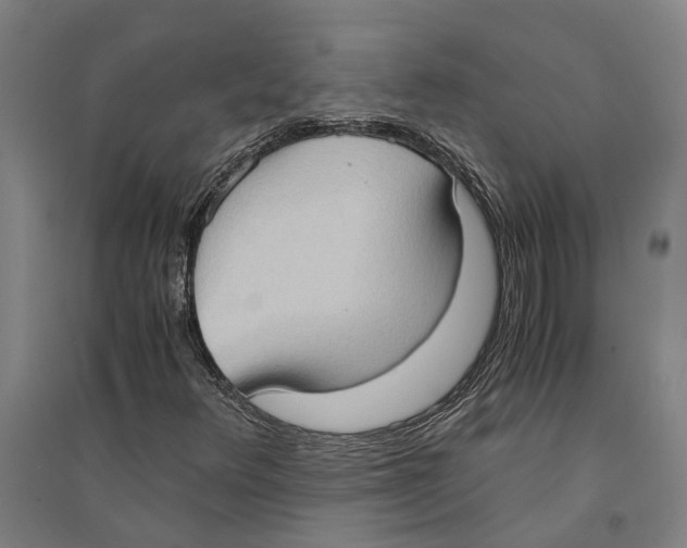 X0000094371348200711301439