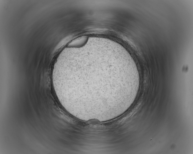 X0000094371354200711301439