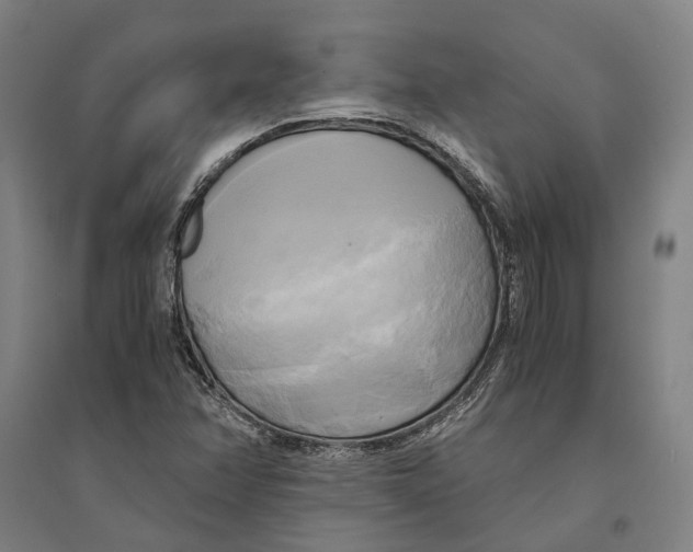 X0000094371358200711301439