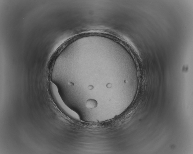 X0000094371360200711301439