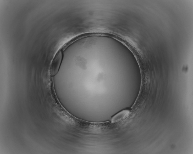 X0000094371364200711301439