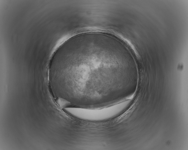 X0000094371365200711301439