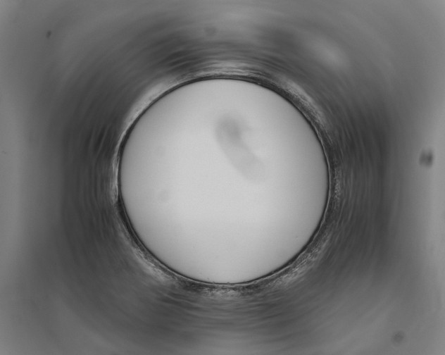 X0000094371370200711301439