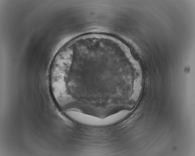 X0000094371375200711301439