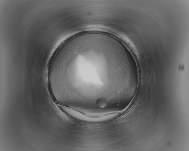 X0000094371376200711301439