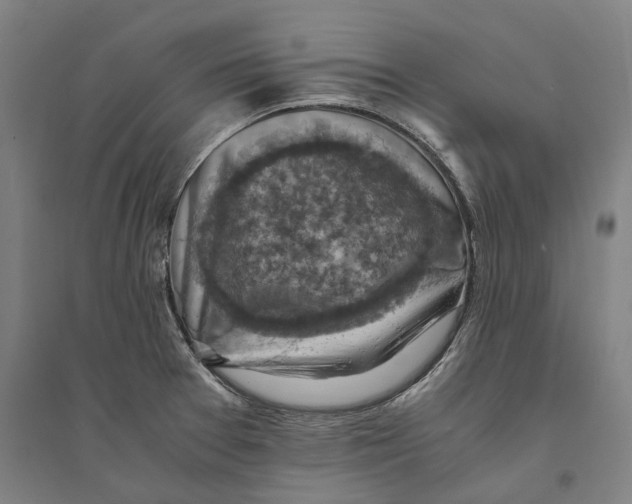 X0000094371377200711301439