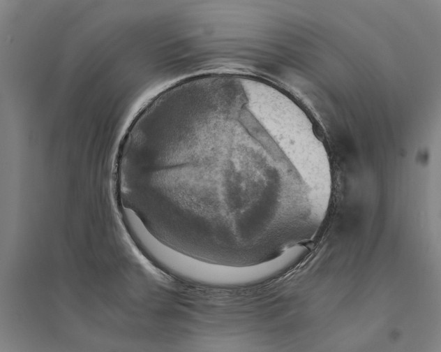 X0000094371379200711301439