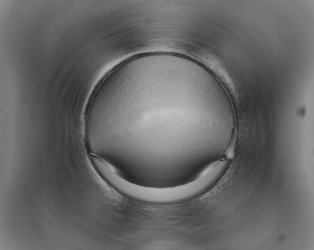 X0000094371380200711301438