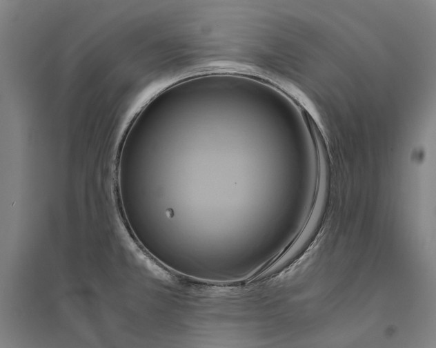 X0000094371381200711301438