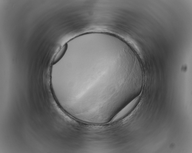 X0000094371382200711301438