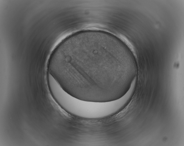 X0000094371384200711301438