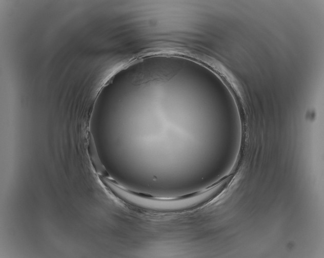 X0000094371385200711301438