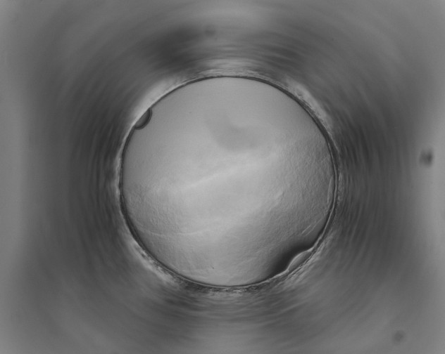 X0000094371386200711301438