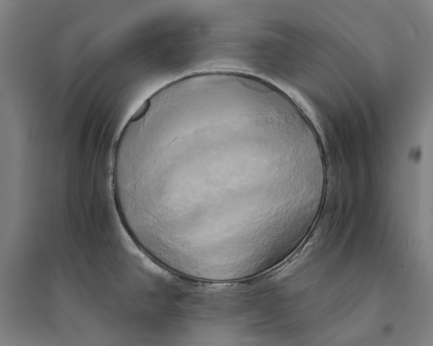 X0000094371390200711301438