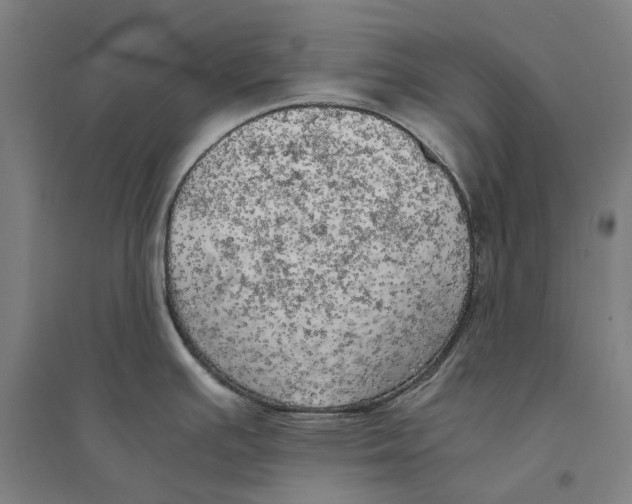 X0000094371391200711301438