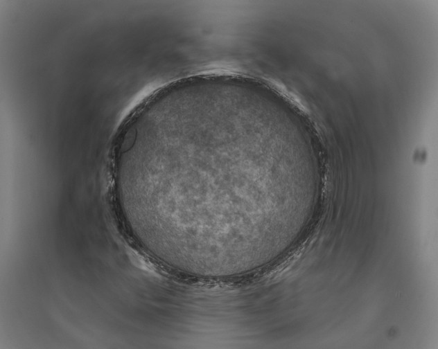 X0000094371400200711301438