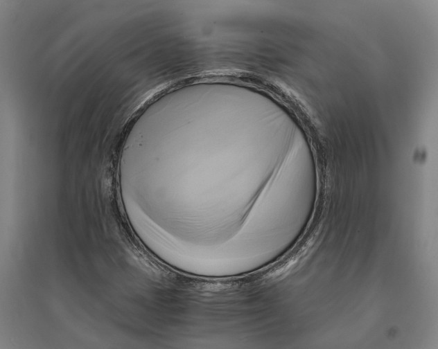 X0000094371401200711301438