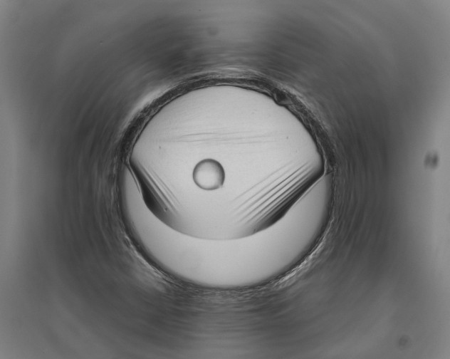 X0000094371402200711301438