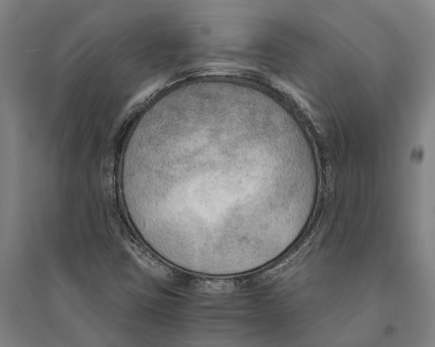 X0000094371403200711301438