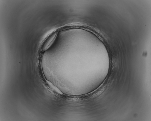 X0000094371406200711301438