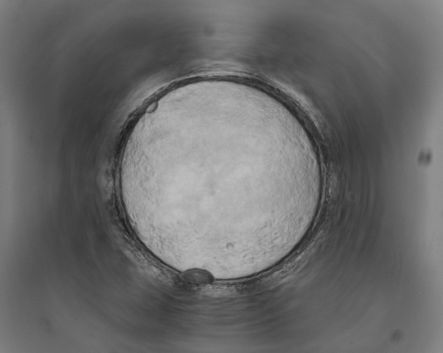 X0000094371407200711301438