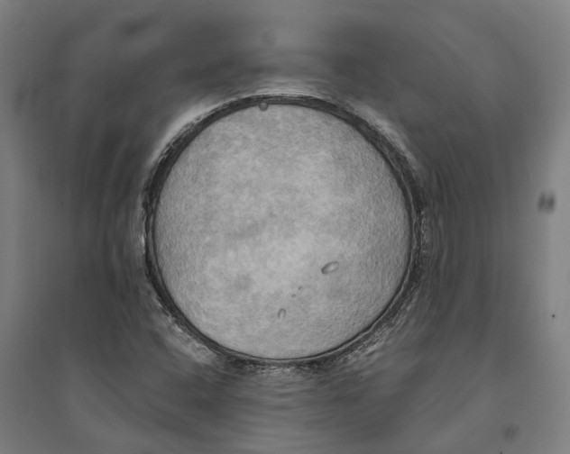 X0000094371408200711301438