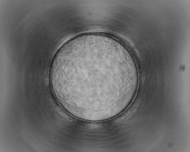 X0000094371409200711301438