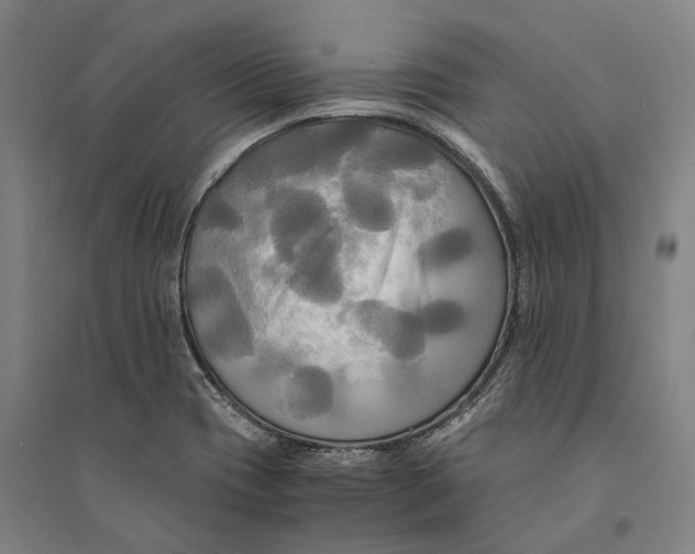 X0000094371417200711301438