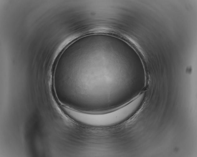 X0000094371418200711301438