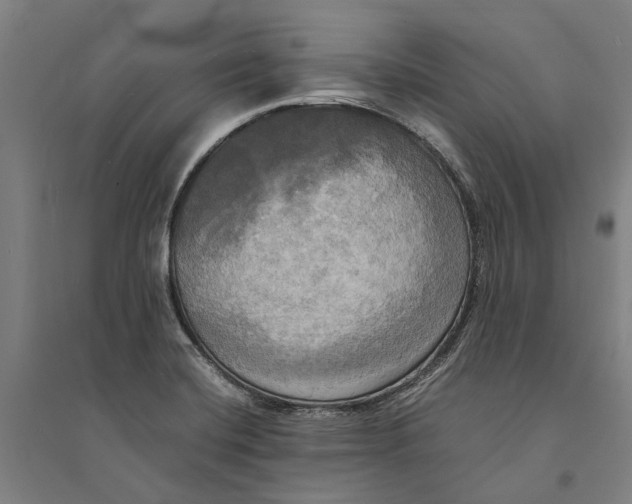 X0000094371420200711301438