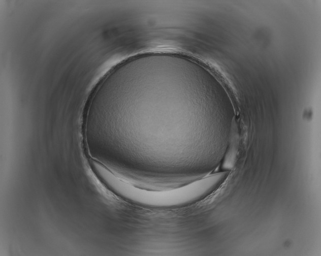 X0000094371422200711301438