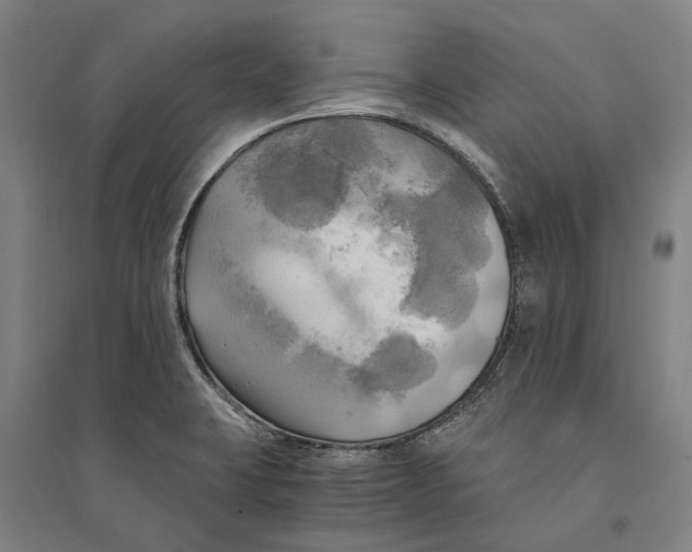 X0000094371423200711301438