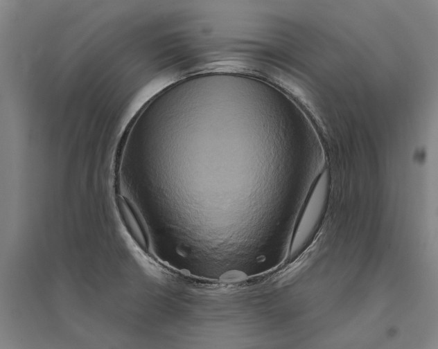 X0000094371426200711301438