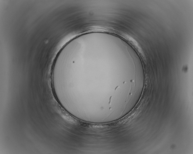 X0000094371427200711301438